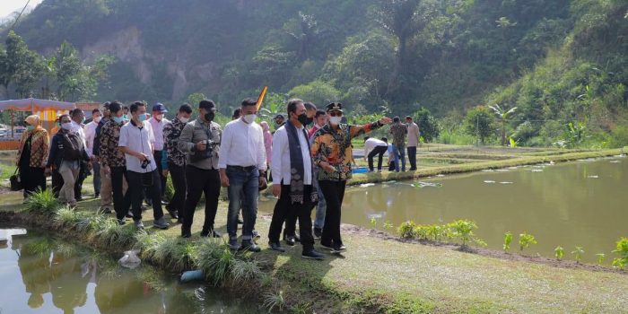 KKP Dorong Kampung Gurami BIMA untuk Kesejahteraan Masyarakat Limapuluh Kota