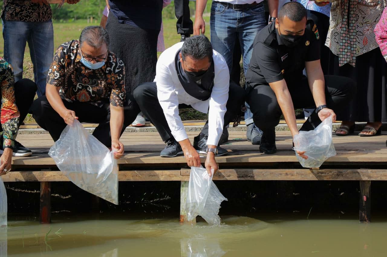 KKP Dorong Kampung Gurami BIMA untuk Kesejahteraan Masyarakat Limapuluh Kota