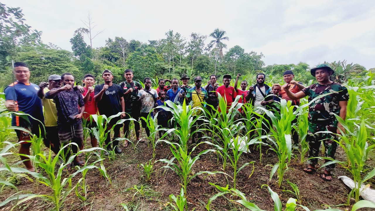 Tanaman Masyarakat Tumbuh Subur, Bukti Keberhasilan Pelatihan Pertanian Satgas Pamtas Yonif 126/KC