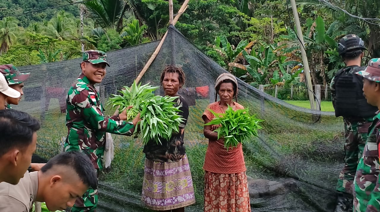 Satgas Yonif 126/KC Bantu Panen Kangkung Warga Perbatasan