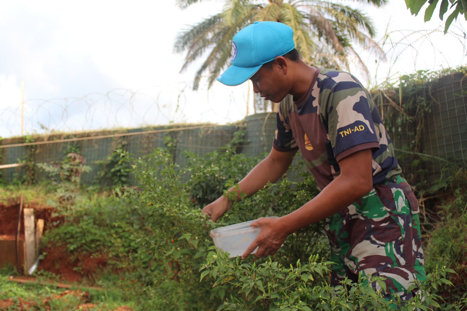 Satgas Kizi TNI XX-S Monusco Cegah Malaria Di Kongo