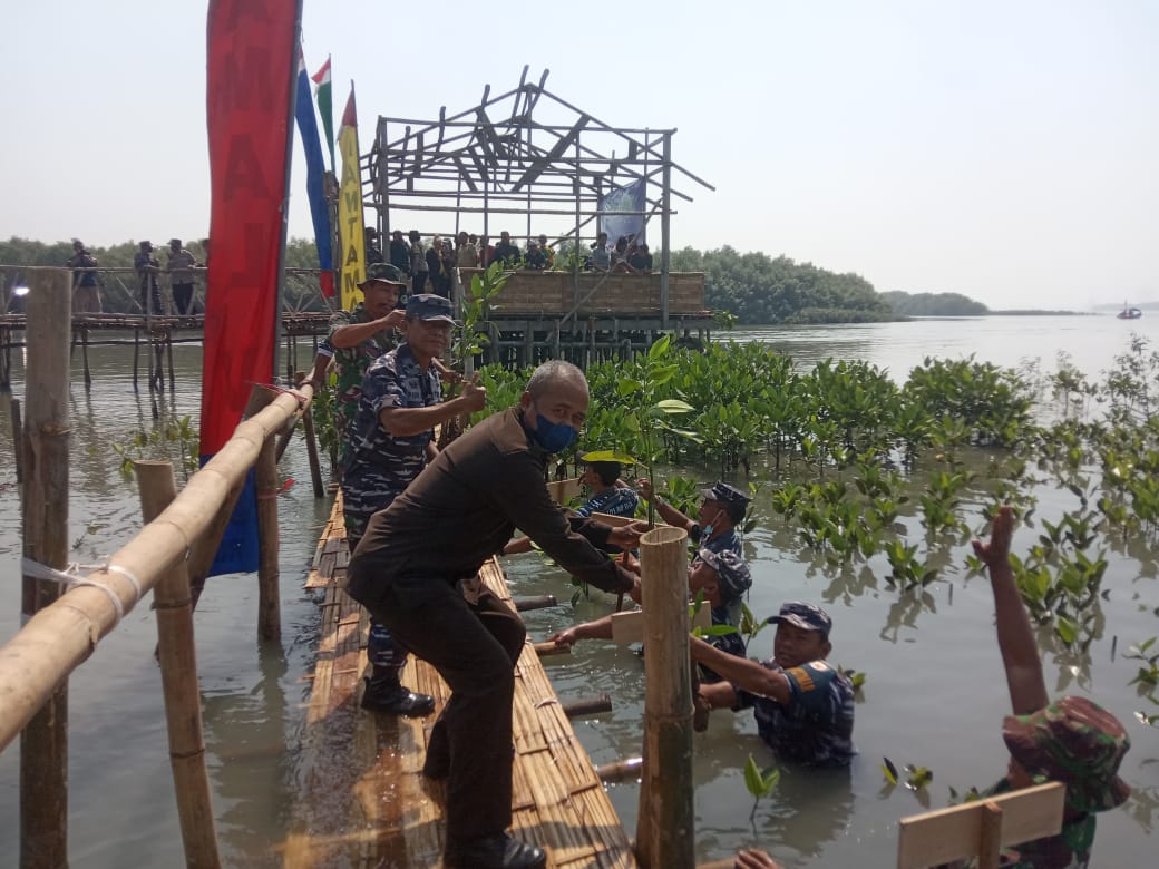 Lantama V Dan DKPP Surabaya Antusias Hidupkan Mangrove