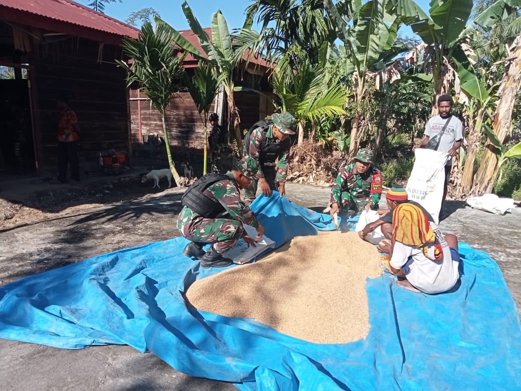 Keberhasilan Satgas Pamtas Yonif 126/KC Dalam Meningkatkan Kesejahteraan Pangan Masyarakat Di Wilayah Perbatasan Papua