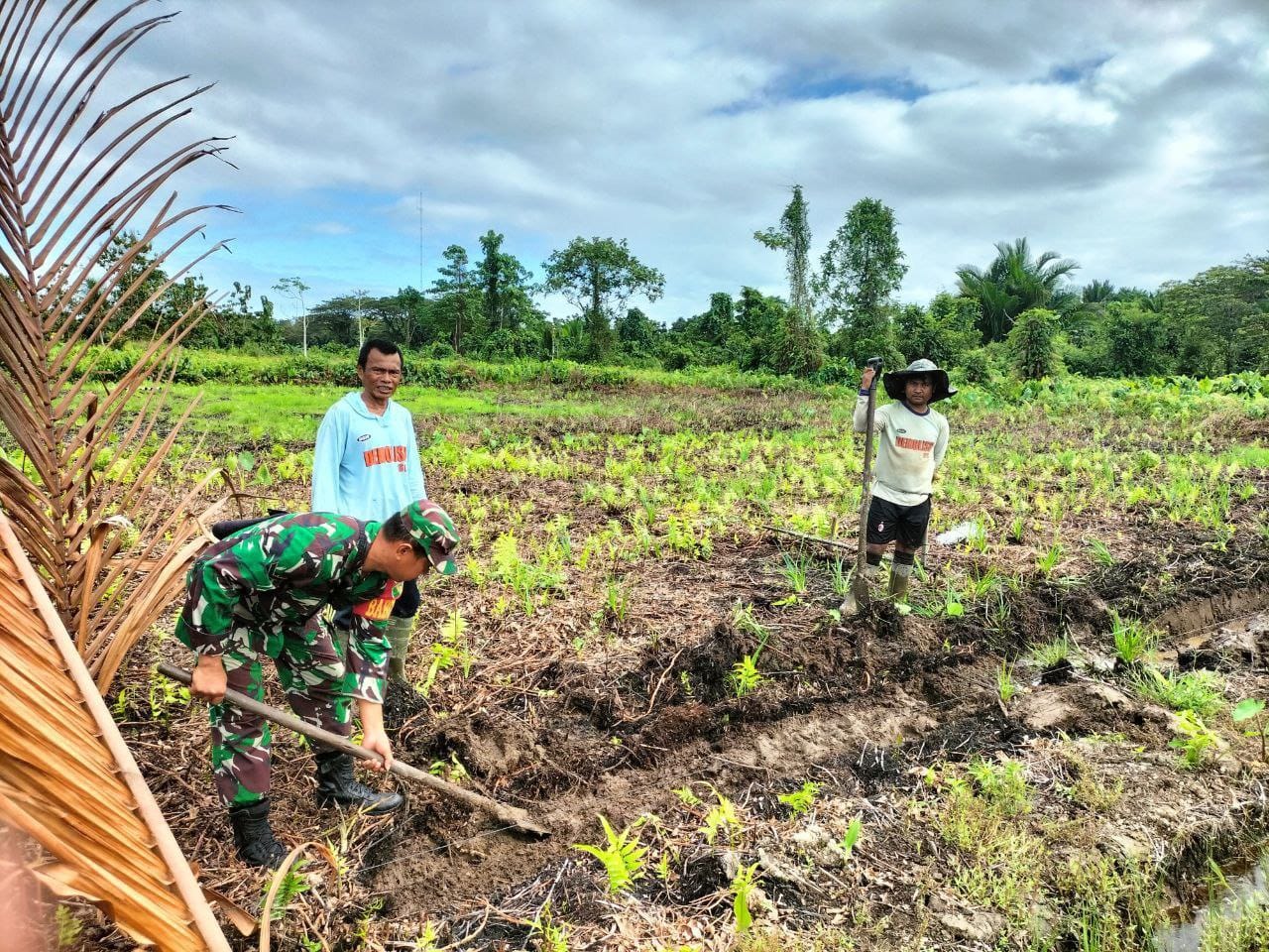 Jalin Silaturahmi Dan Memantau Potensi Di Wilayah, Babinsa Koramil 1710-07/Mapurujaya Laksanakan Komsos Dengan Petani Di Wilayah Binaan