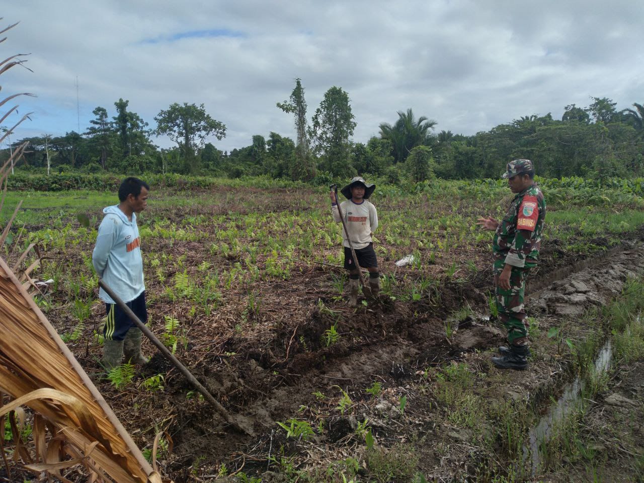 Jalin Silaturahmi Dan Memantau Potensi Di Wilayah, Babinsa Koramil 1710-07/Mapurujaya Laksanakan Komsos Dengan Petani Di Wilayah Binaan