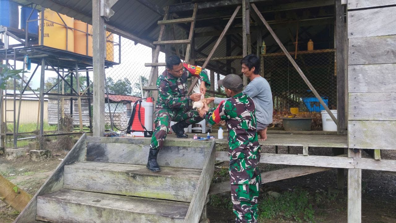 Peduli Dengan Perekonomian Warga, Babinsa Koramil 1710-03/KK Beri Penyuluhan Warga Binaan Cara Beternak Ayam Bertelur