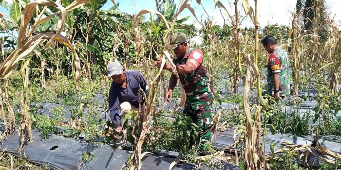 Sarana Jalin Keakraban Serta Perkokoh Kemanunggalan, Babinsa Koramil 1710-07/Mapurujaya Rutin Komsos Bersama Warga Binaan