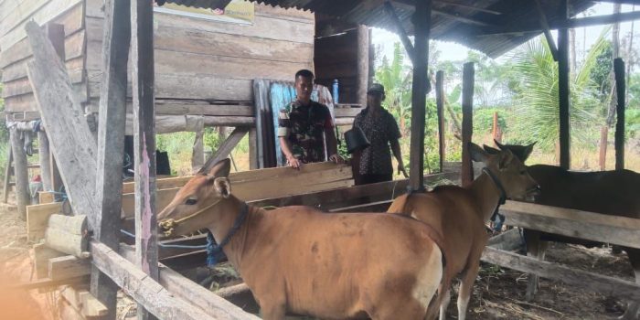 Babinsa Koramil 1710-03/Kuala Kencana Melaksanakan Komsos Dengan Petani Di Desa Binaan