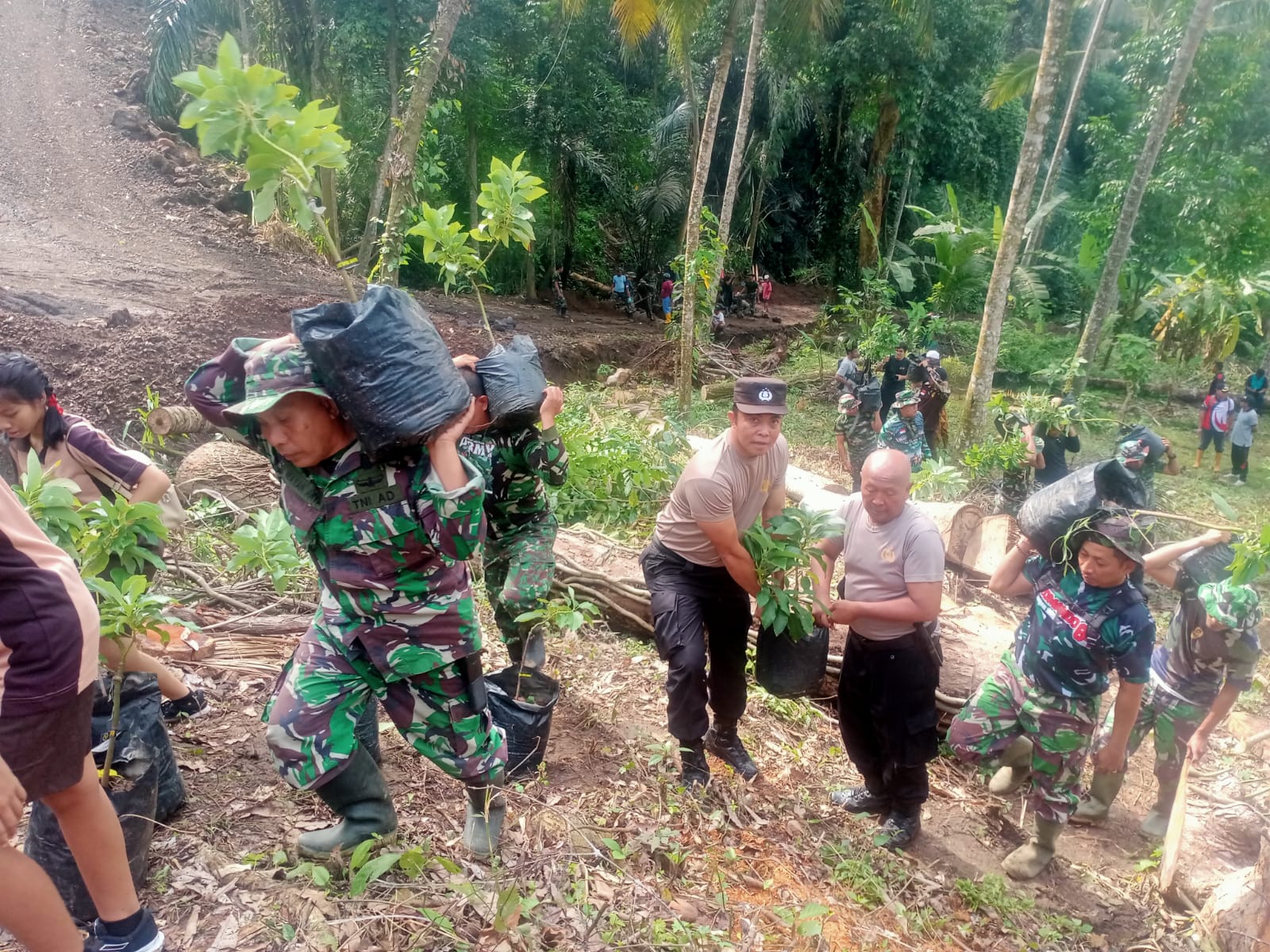 TNI Manunggal Membangun Desa Ke-119 Tanam 150 Pohon Alpukat di Desa Selumbung